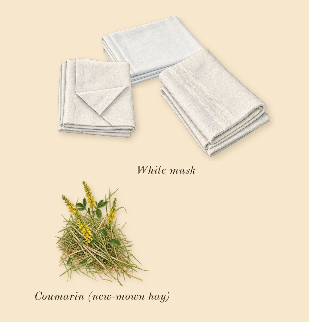 Coco Mademoiselle L'Eau Privée, dry-down: White musk, Coumarin (new-mown hay)