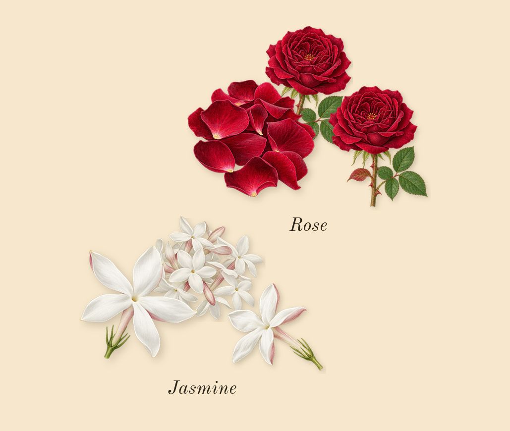 Coco Mademoiselle L'Eau Privée, heart: Jasmine, Rose