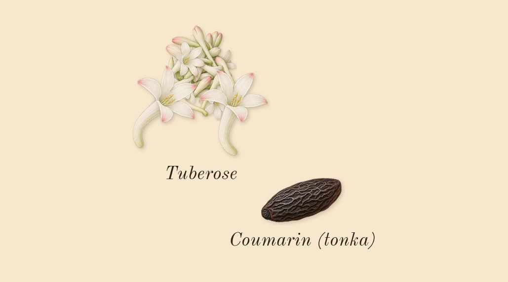 Gabrielle, dry-down: Tuberose, Coumarin (tonka)