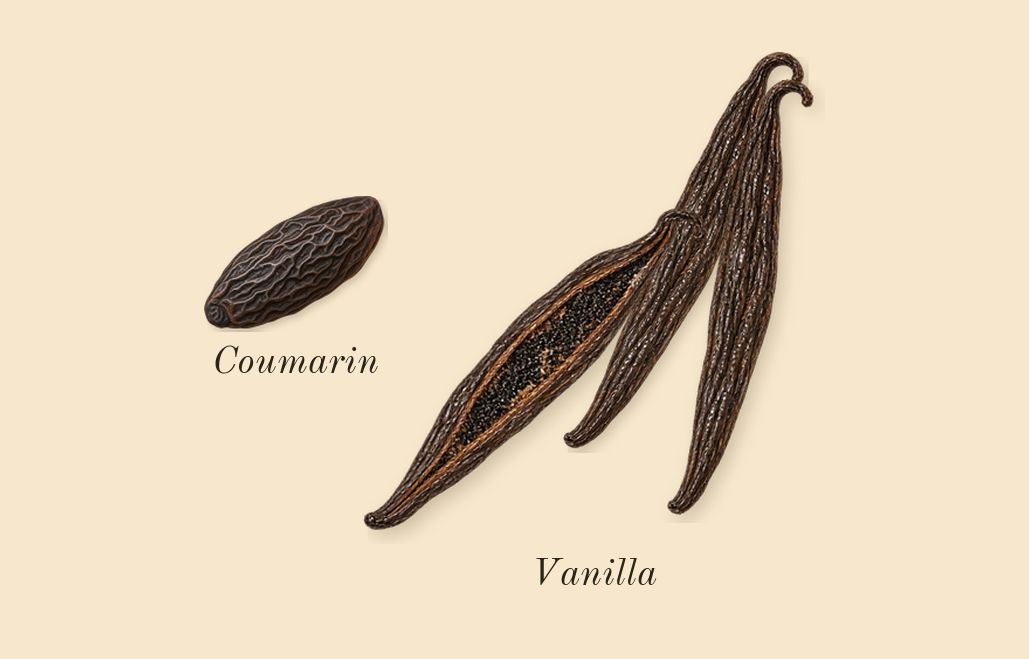 No. 5, dry-down: Vanilla, Coumarin