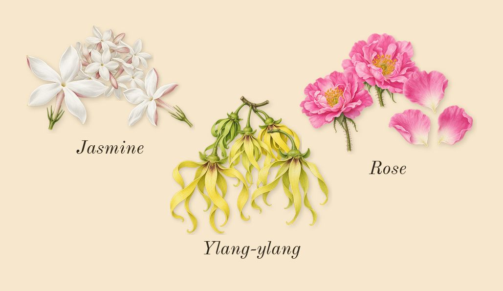 No. 5, heart: Rose, Jasmine, Ylang-ylang