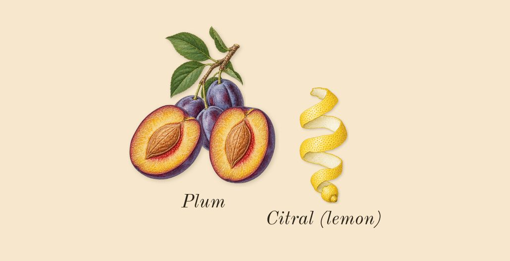 Nomade, top notes: Plum, Citral (lemon)