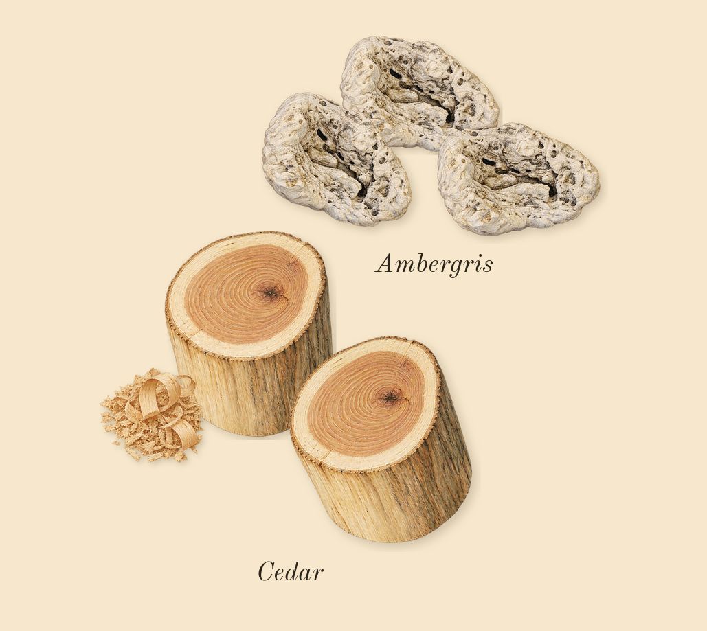Chloé, dry-down: Cedar, Ambergris