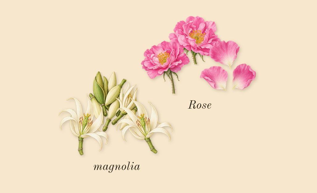 Chloé, heart: Rose, magnolia