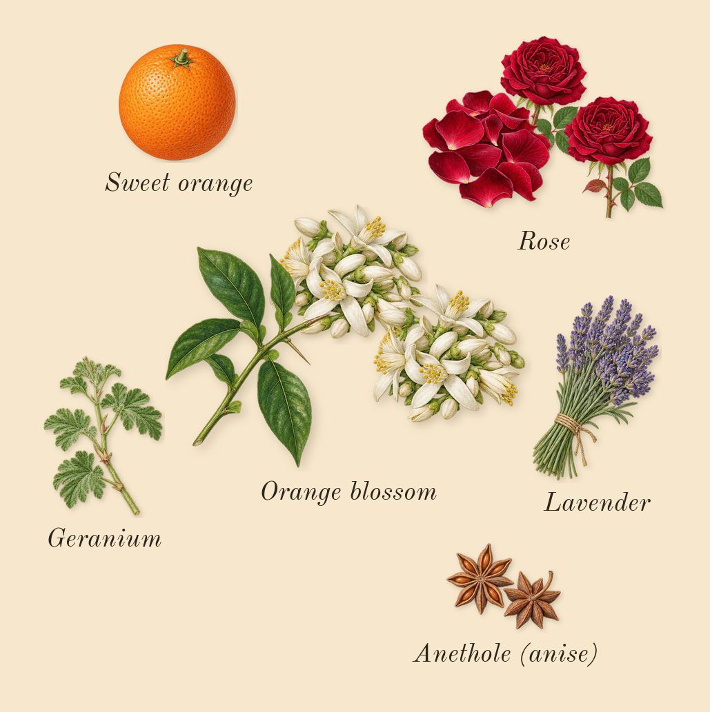 Aromatics Elixir, top notes: Rose, Orange blossom, Lavender, Sweet orange, Geranium, Anethole (anise)
