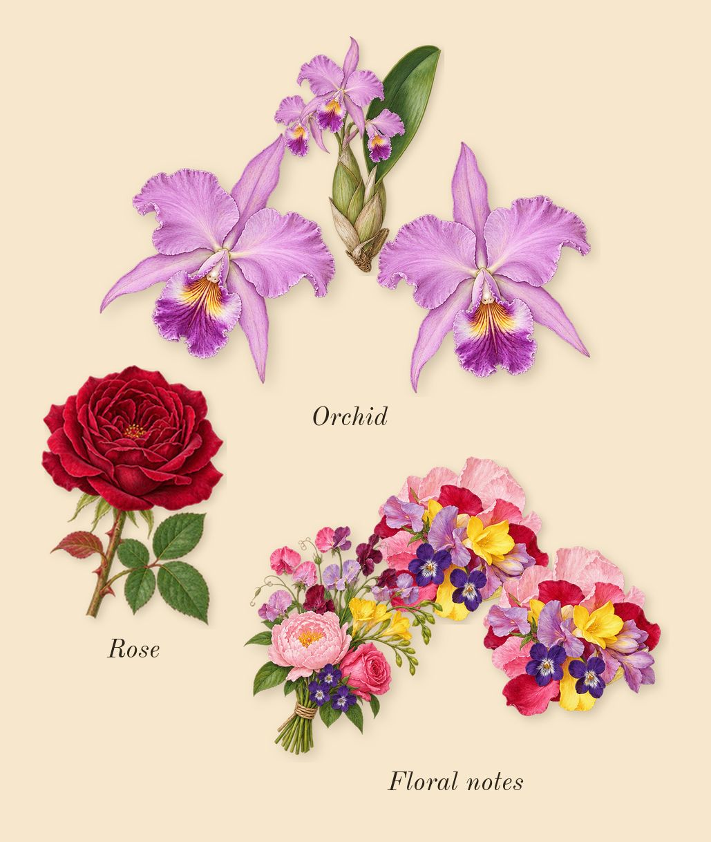 Happy, heart: Floral notes, Orchid, Rose