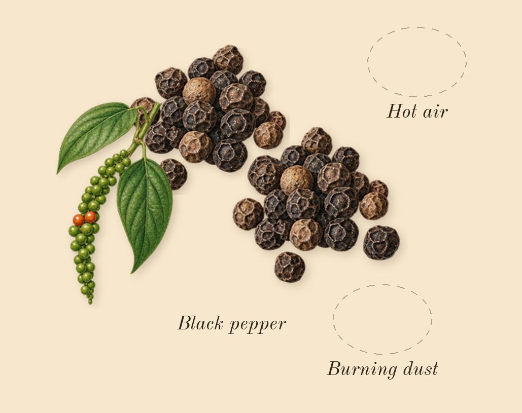 Warm Bulb, top notes: Burning dust, Hot air, Black pepper