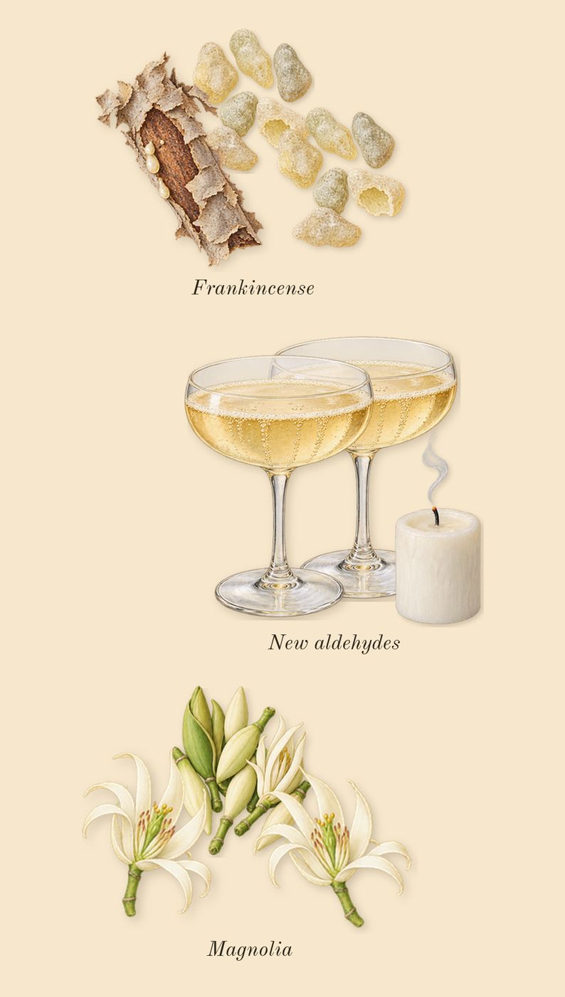 2, top notes: Frankincense, New aldehydes, Magnolia