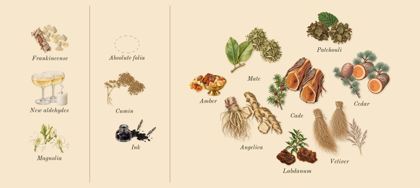 2’s scent picture, a draft: ink, frankincense, amber, labdanum, patchouli, cedar drawn so far; dashed outlines where nothing is drawn yet