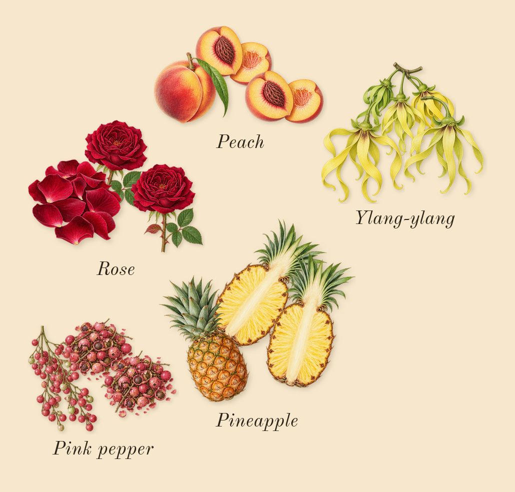 Aventus for Her, heart: Rose, Pink pepper, Pineapple, Peach, Ylang-ylang