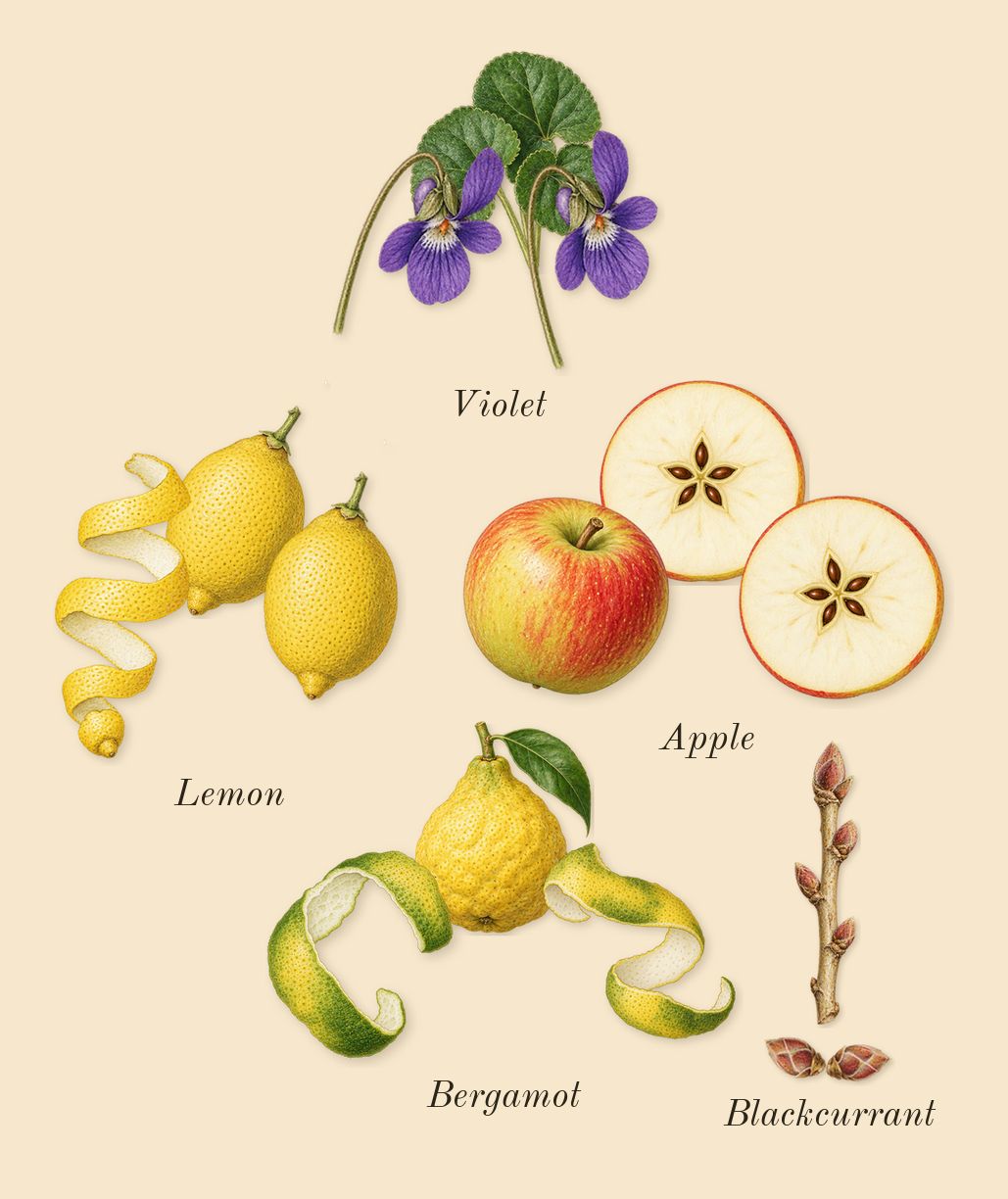 Aventus for Her, top notes: Lemon, Bergamot, Apple, Violet, Blackcurrant
