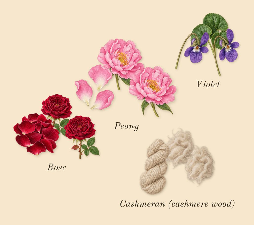 Carmina, heart: Rose, Violet, Cashmeran (cashmere wood), Peony