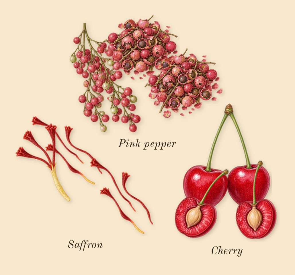 Carmina, top notes: Cherry, Saffron, Pink pepper