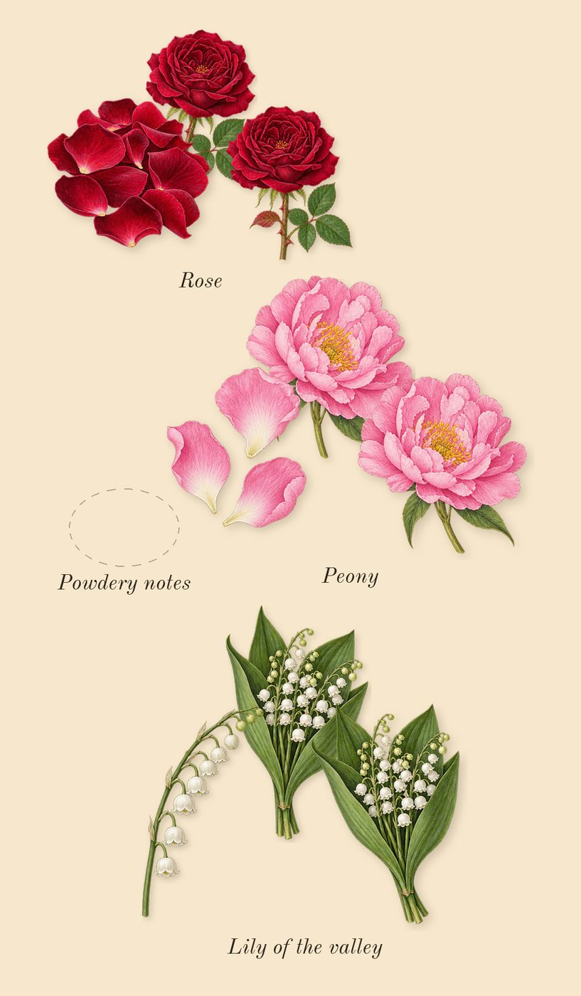 Eladaria, heart: Rose, Peony, Lily of the valley, Powdery notes