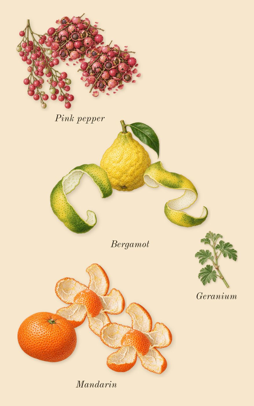 Eladaria, top notes: Mandarin, Bergamot, Pink pepper, Geranium