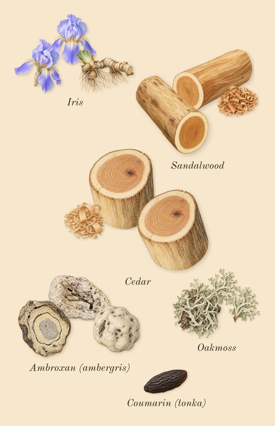 Green Irish Tweed, dry-down: Sandalwood, Cedar, Ambroxan (ambergris), Oakmoss, Iris, Coumarin (tonka)