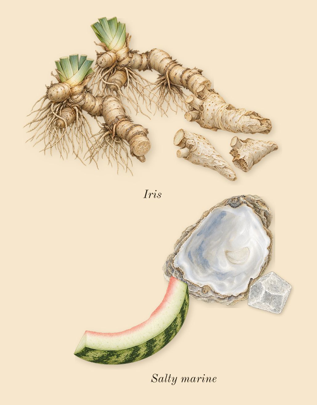 Millésime Impérial, heart: Iris, Salty marine