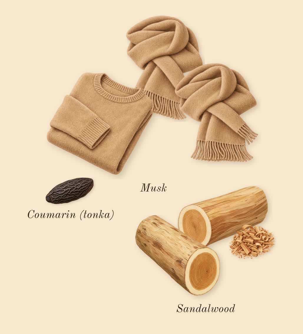 Silver Mountain Water, dry-down: Musk, Sandalwood, Coumarin (tonka)