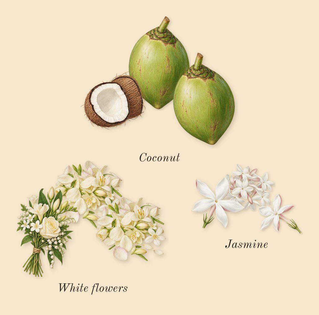 Virgin Island Water, heart: Coconut, Jasmine, White flowers