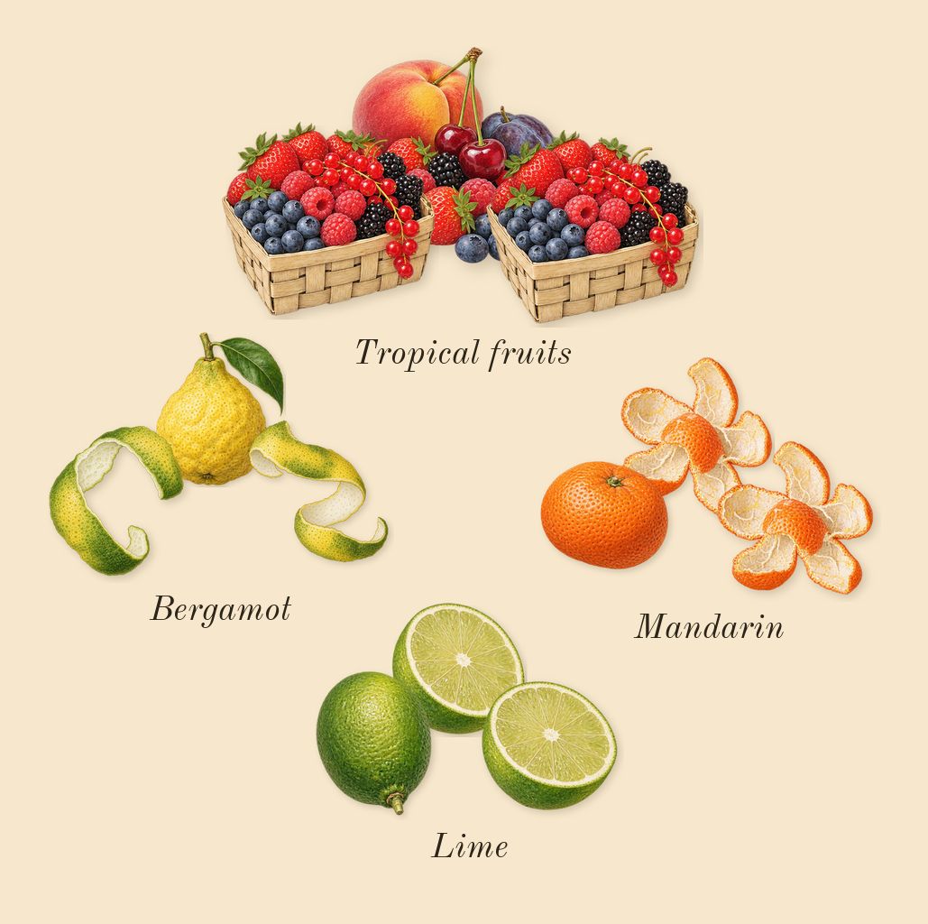 Virgin Island Water, top notes: Lime, Bergamot, Tropical fruits, Mandarin