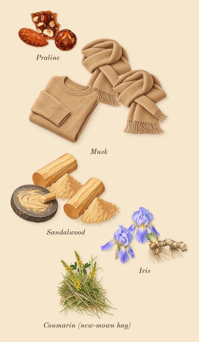 Wind Flowers, dry-down: Iris, Musk, Sandalwood, Praline, Coumarin (new-mown hay)