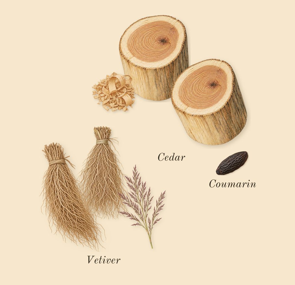Crimson Rocks, dry-down: Cedar, Vetiver, Coumarin