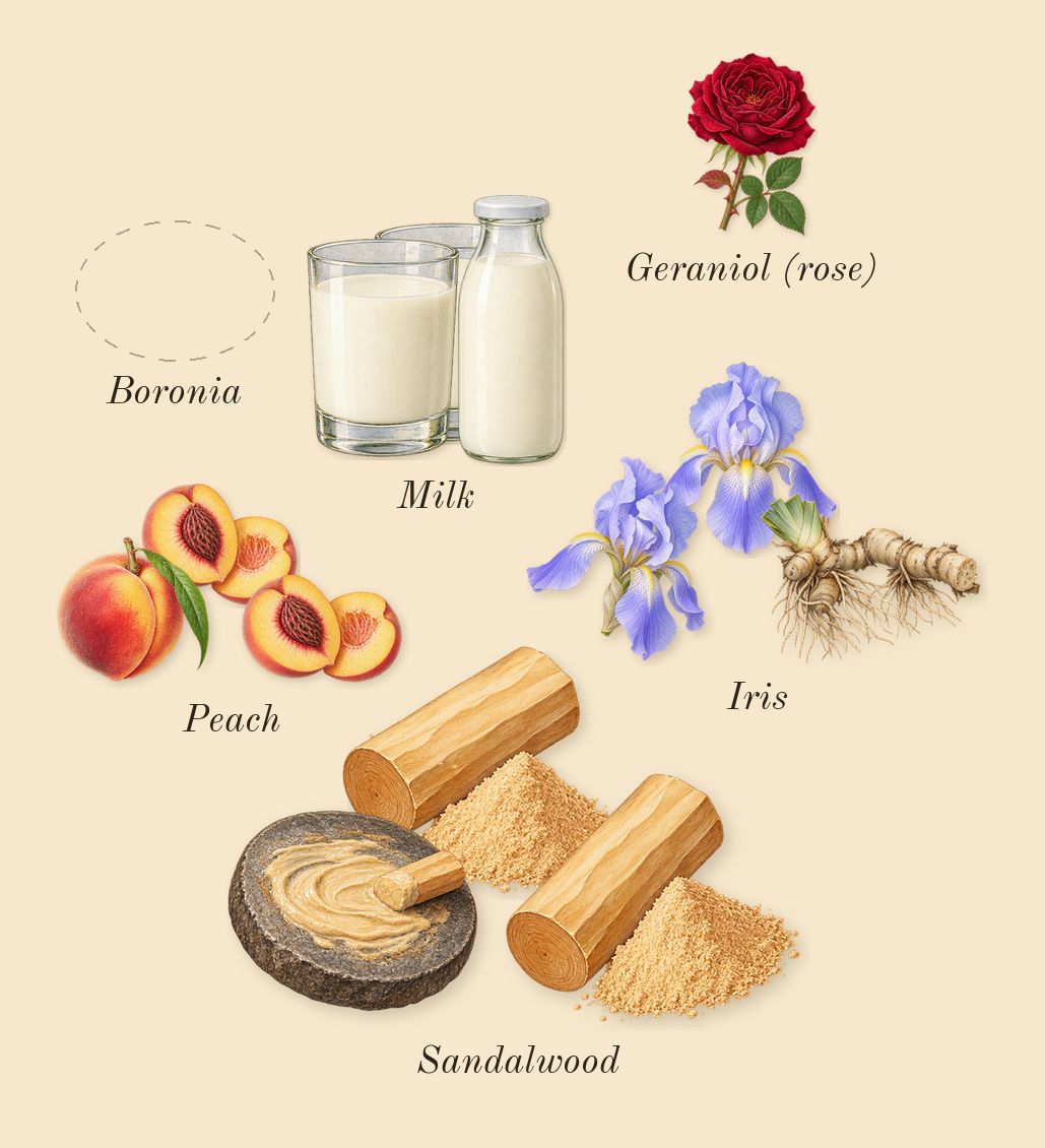 Radio Bombay, heart: Sandalwood, Iris, Boronia, Milk, Peach, Geraniol (rose)