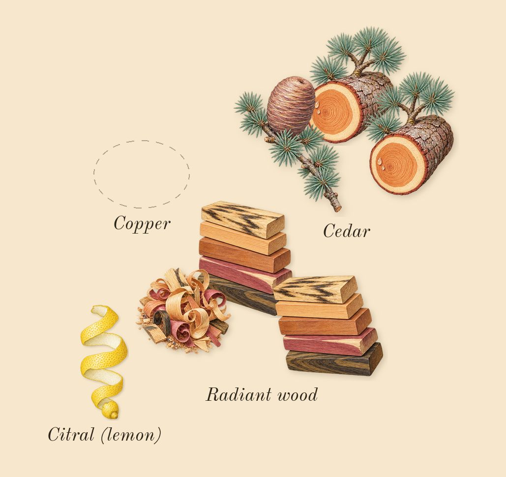 Radio Bombay, top notes: Radiant wood, Copper, Cedar, Citral (lemon)