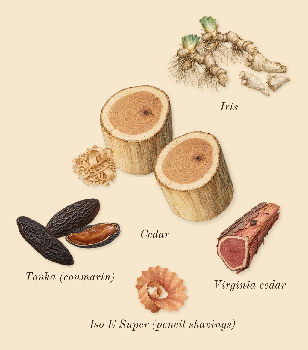 White Rice, dry-down: Iris, Tonka (coumarin), Cedar, Virginia cedar, Iso E Super (pencil shavings)