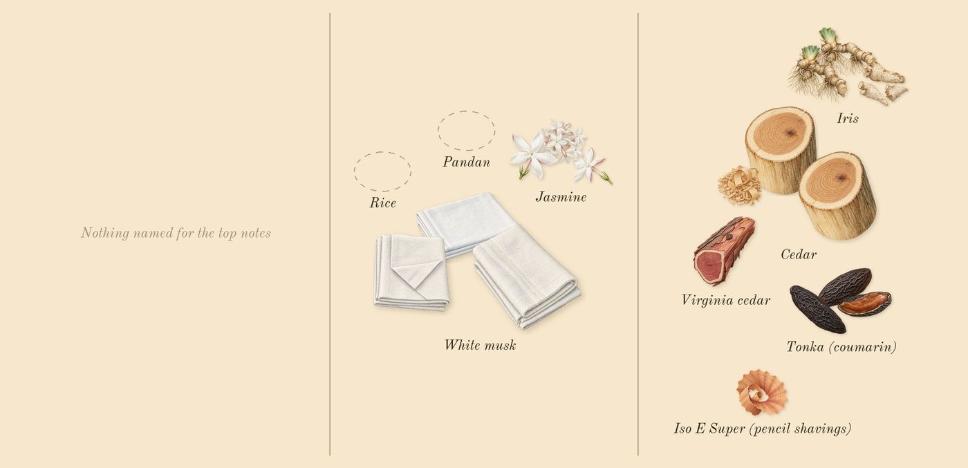 White Rice’s scent picture, a draft: iris, jasmine, tonka (coumarin), white musk, cedar, virginia cedar drawn so far; dashed outlines where nothing is drawn yet