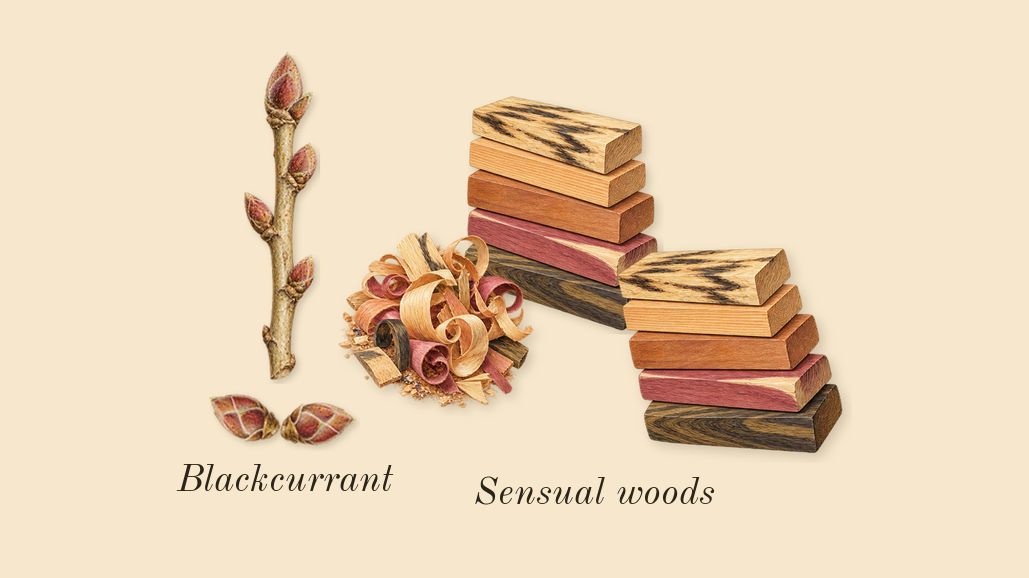 Cool Water Woman, dry-down: Blackcurrant, Sensual woods