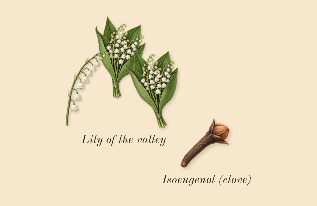Cool Water Woman, heart: Lily of the valley, Isoeugenol (clove)