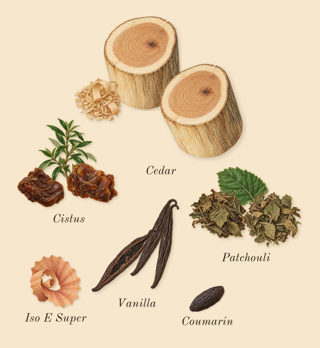 Decision 42, dry-down: Patchouli, Cedar, Vanilla, Cistus, Iso E Super, Coumarin
