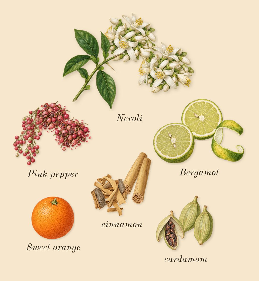 Decision 42, top notes: Pink pepper, Bergamot, cardamom, Neroli, cinnamon, Sweet orange