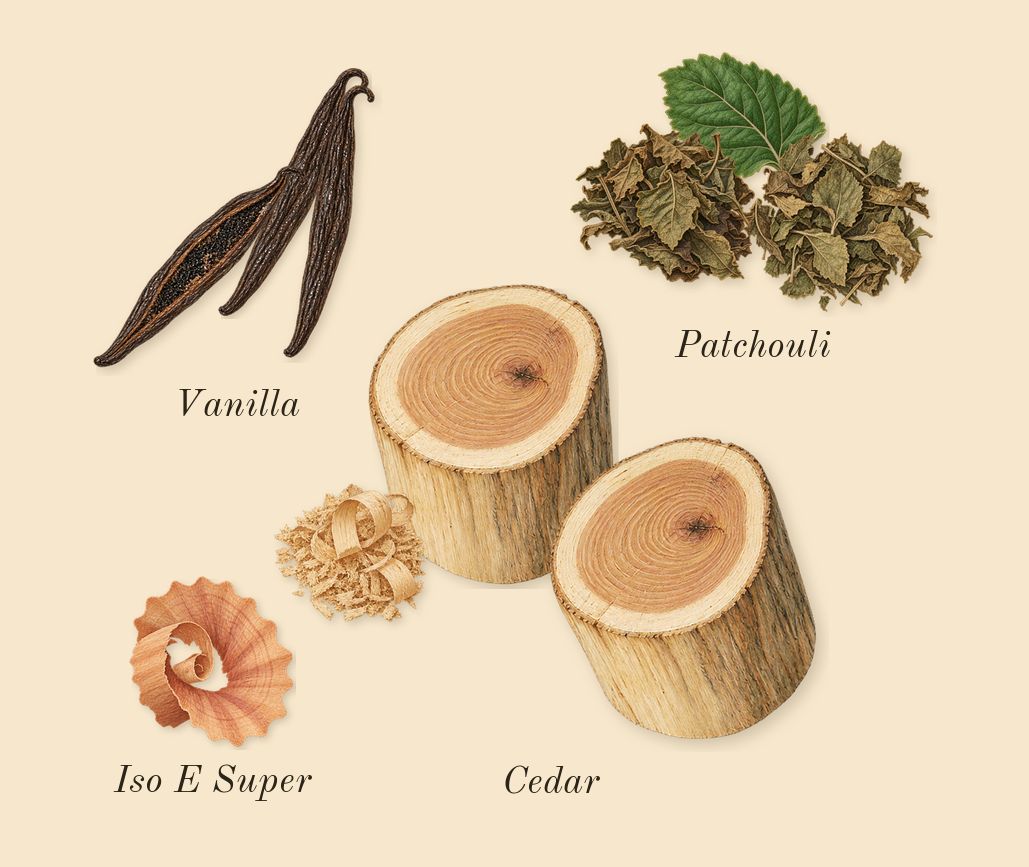 Decision, dry-down: Patchouli, Cedar, Vanilla, Iso E Super