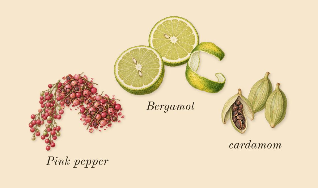 Decision, top notes: Pink pepper, Bergamot, cardamom