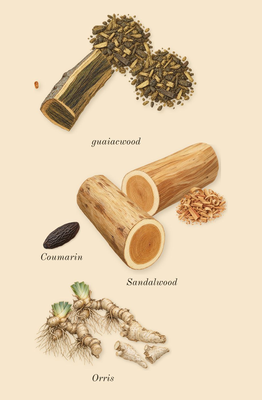 Dia 40 Woman, dry-down: Orris, Sandalwood, guaiacwood, Coumarin