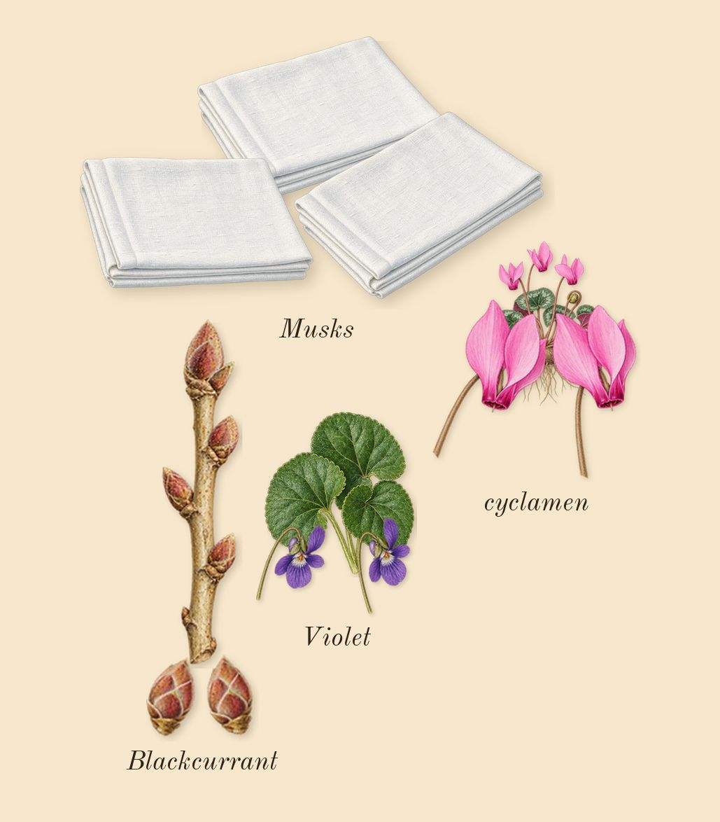 Dia 40 Woman, top notes: cyclamen, Musks, Blackcurrant, Violet