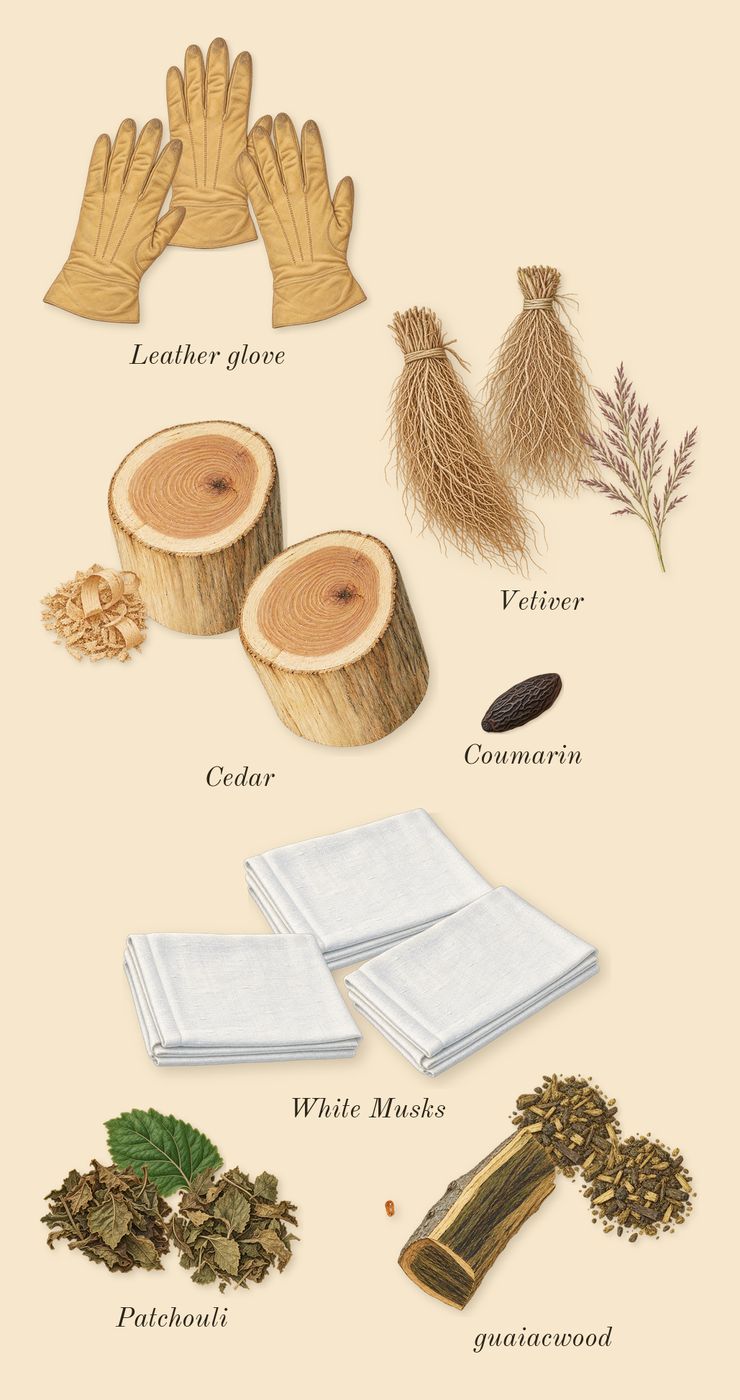 Dia Man, dry-down: Leather glove, White Musks, Patchouli, Vetiver, guaiacwood, Cedar, Coumarin