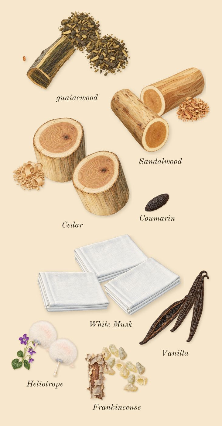 Dia Woman, dry-down: White Musk, Frankincense, Vanilla, Heliotrope, Cedar, Sandalwood, guaiacwood, Coumarin