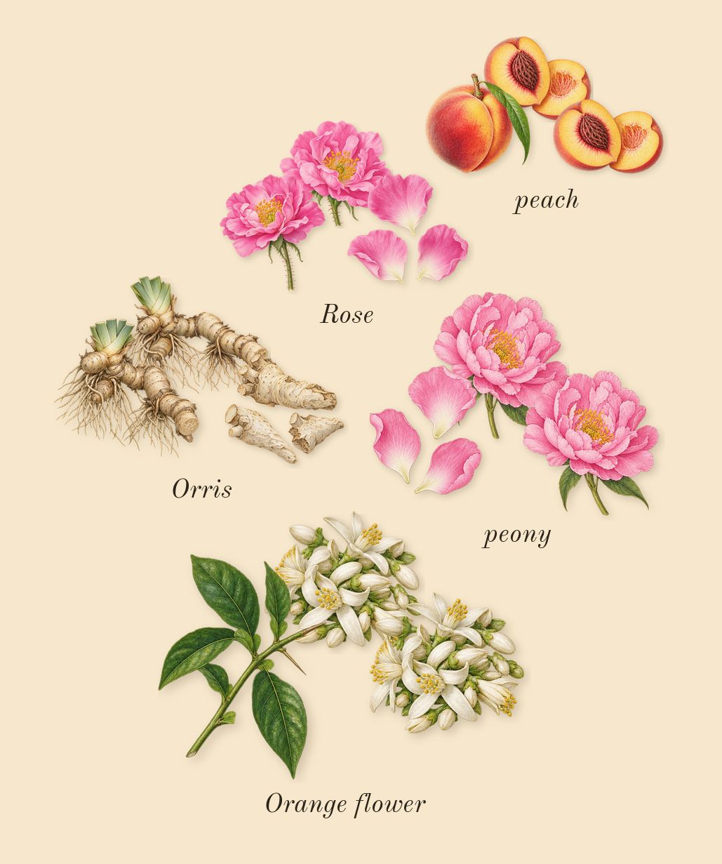 Dia Woman, heart: peach, Rose, Orange flower, peony, Orris