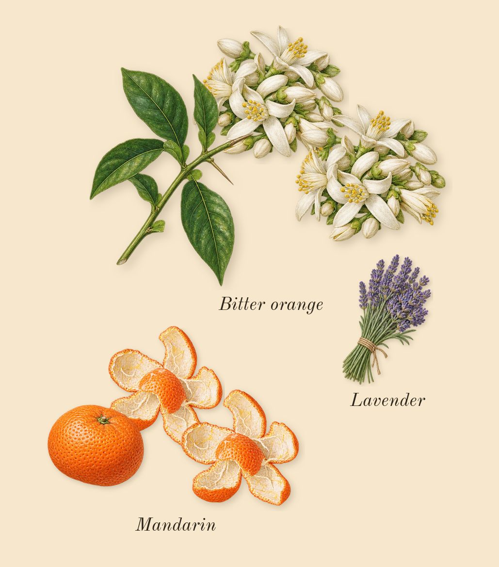 Addict, top notes: Mandarin, Bitter orange, Lavender