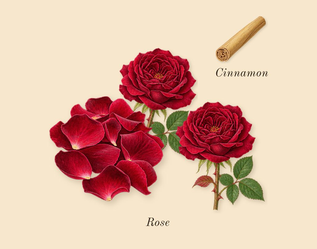 Ambre Nuit, heart: Rose, Cinnamon