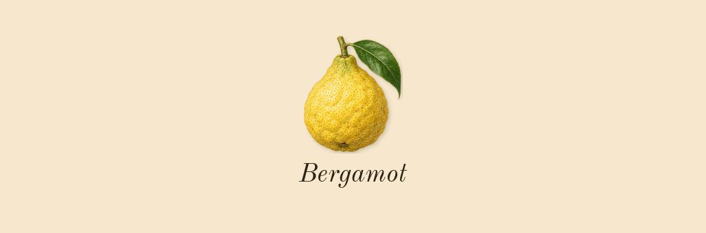 Ambre Nuit, top notes: Bergamot