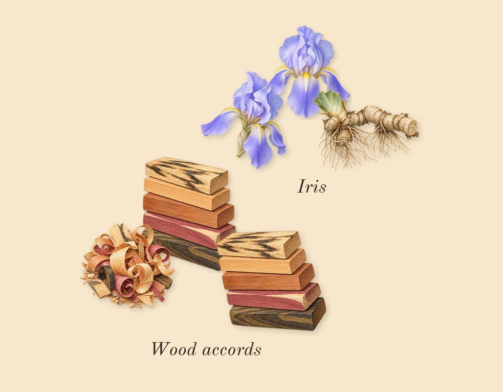 Bois d'Argent, dry-down: Wood accords, Iris