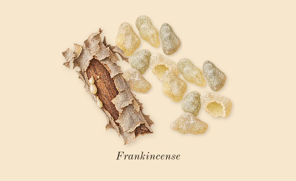 Bois d'Argent, top notes: Frankincense