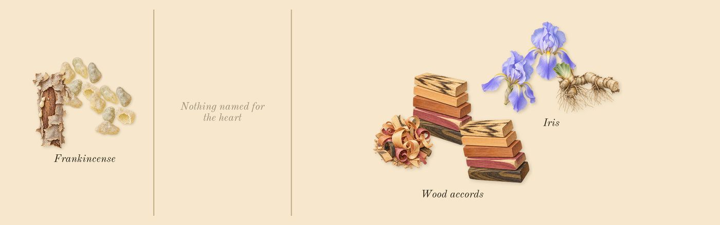 Bois d'Argent’s scent picture, a draft: wood accords, iris, frankincense drawn so far; dashed outlines where nothing is drawn yet