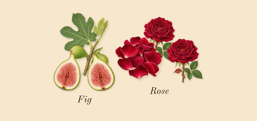 Dioriviera, heart: Fig, Rose