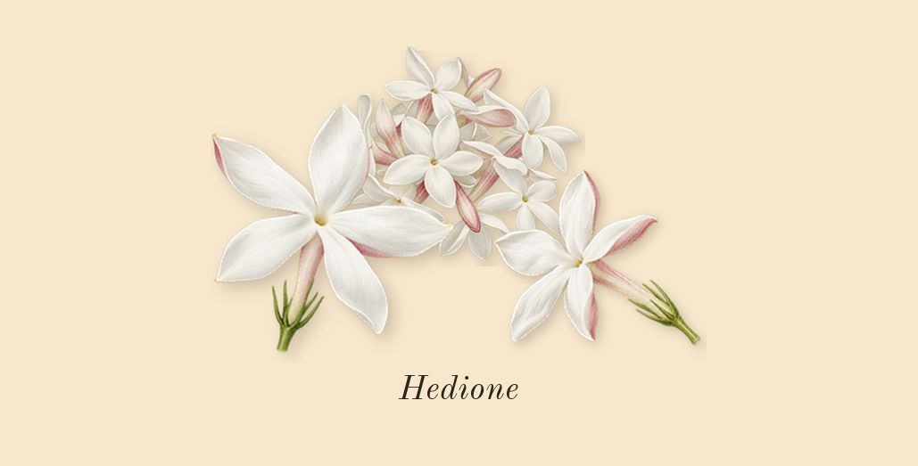 Eau Sauvage, heart: Hedione