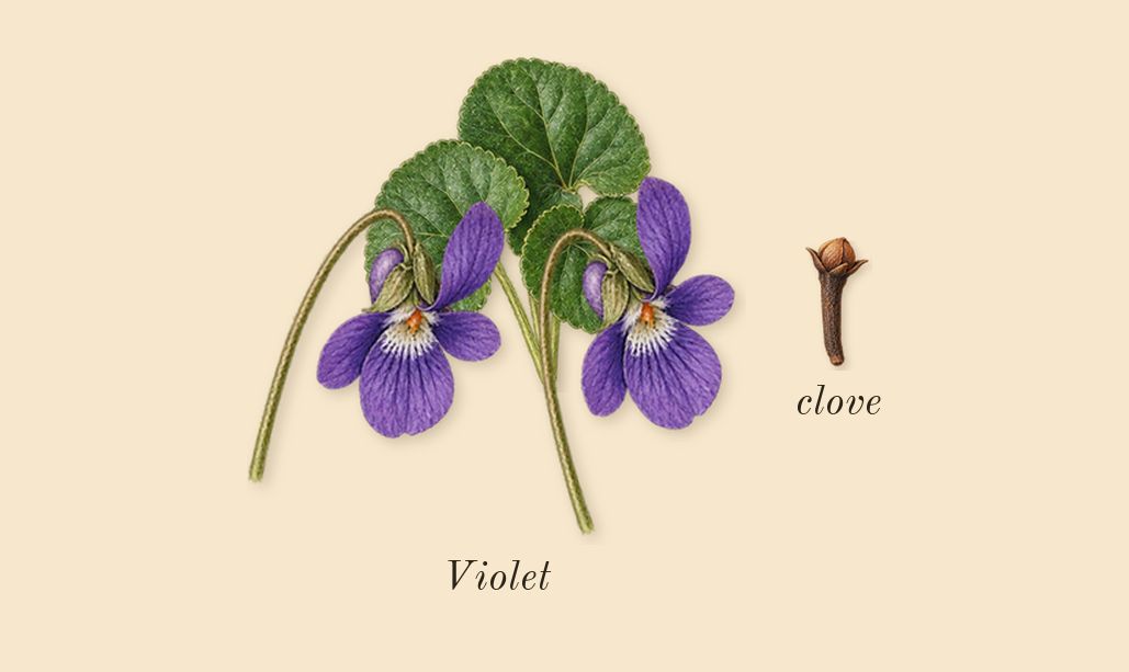 Fahrenheit, heart: Violet, clove